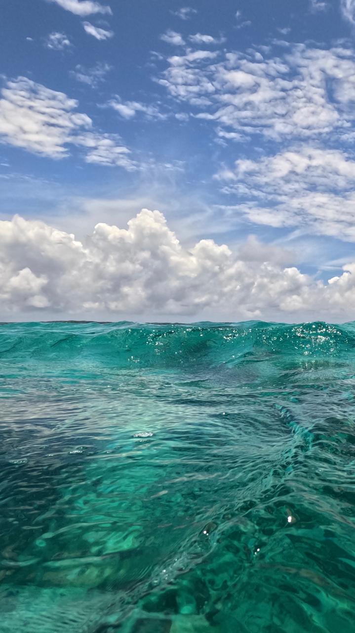 Mario Morales in the ocean - Photo credit: Personal collection